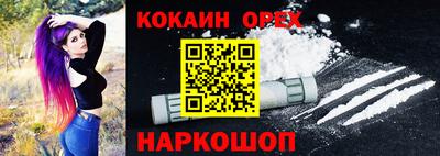 крисы Кингисепп
