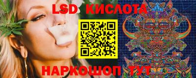 крисы Кингисепп