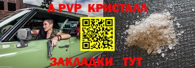 крисы Кингисепп