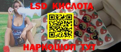крисы Кингисепп